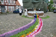 Bluemteppich auf dem Naumburegr Marktplatz (Foto: Karl-Franz Thiede)